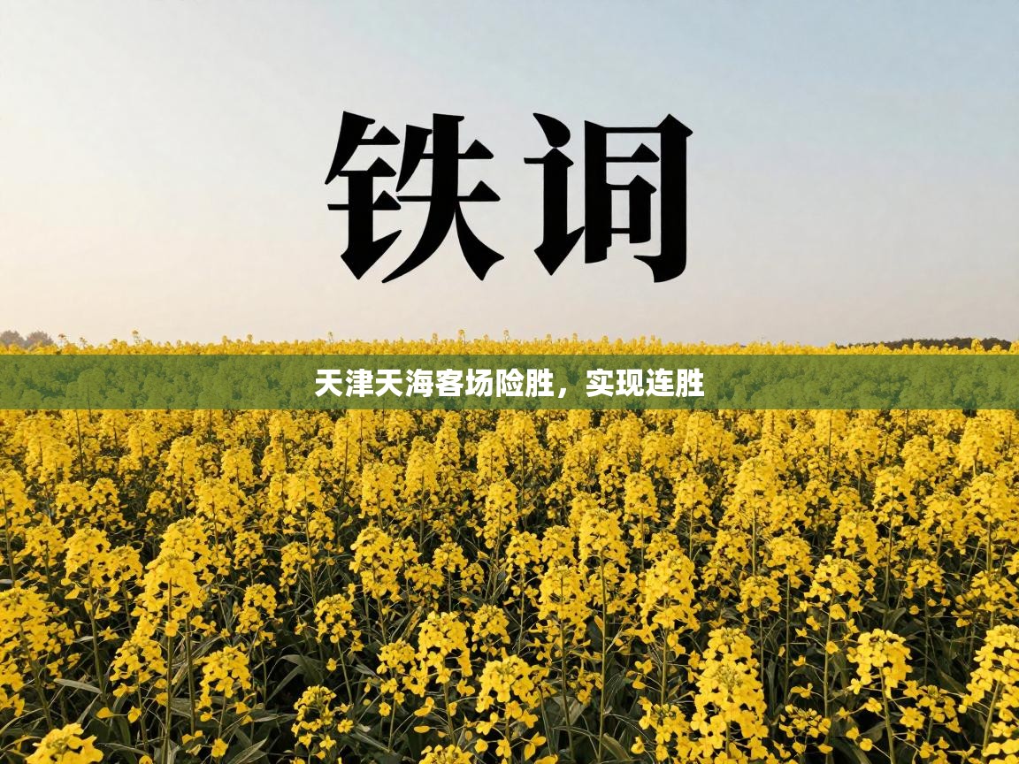 天津天海客场险胜，实现连胜  第1张